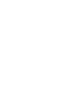 Tiger paw on a shield graphic