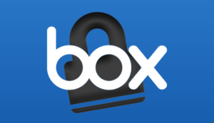 Box storage system logo with a lock behind it