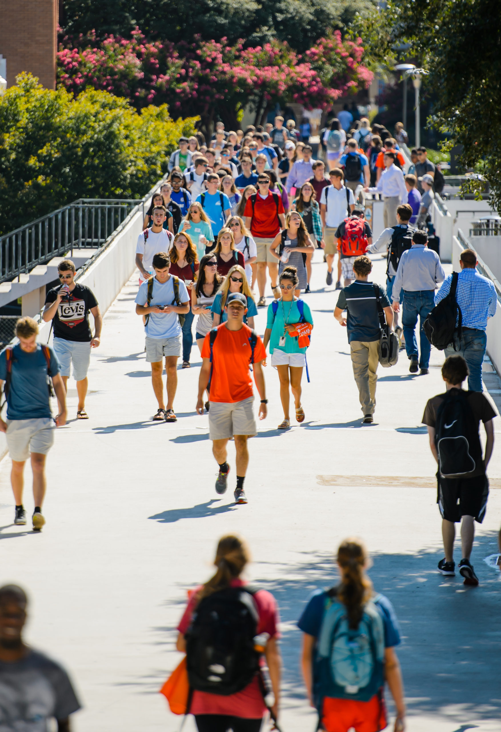 Students walking on Cooper Library bridge