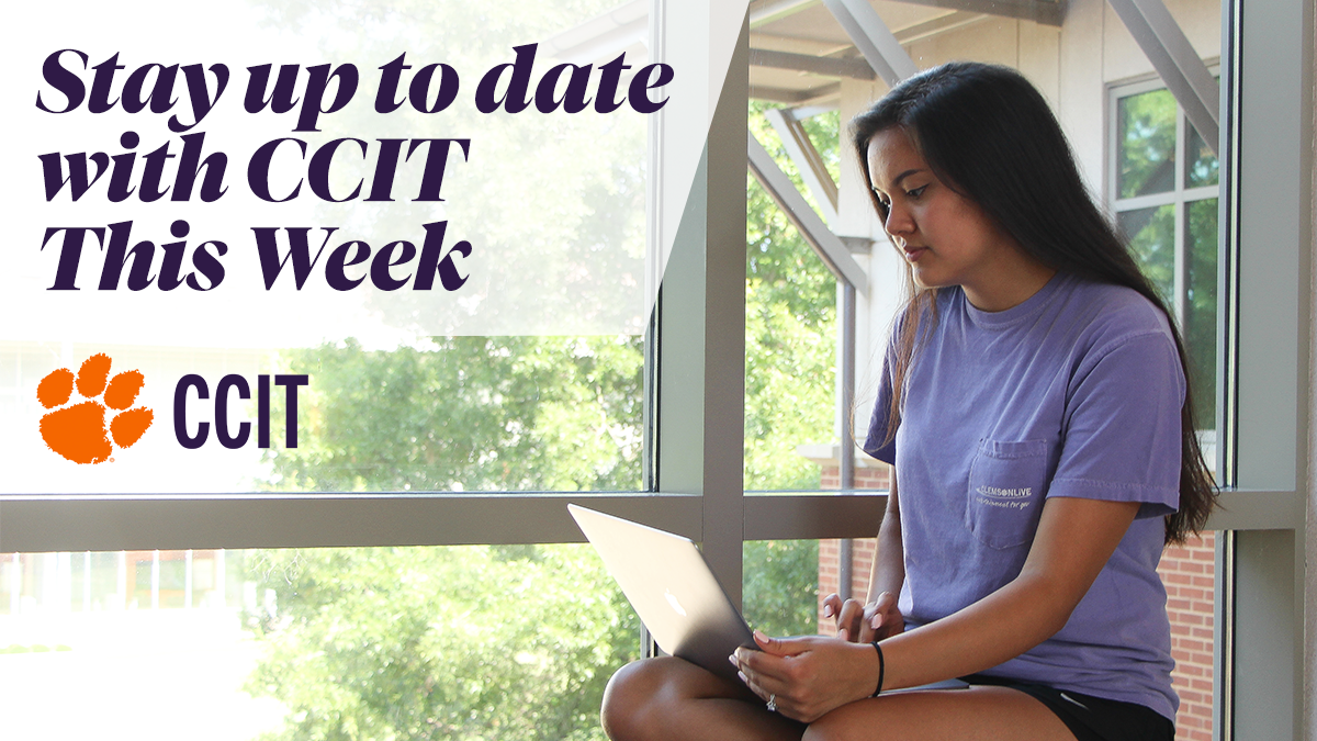 Stay up to date with CCIT This Week